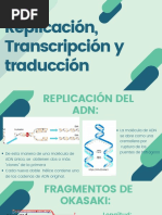 Replicacion, Transcripcion y Traduccion