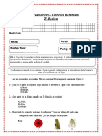 Evaluación - Ciencias Naturales - Las Plantas