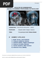 PA2 Retraso Mental Psicopatolog A