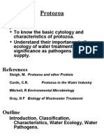 Protozoa 99