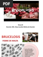 TEMA N°23 Brucella