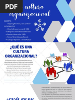 Cultura Organizacional