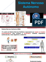 5 Aula SNC Autônomo P