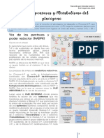 CT6 Vía de Las Pentosas y Metabolismo Del Glucógeno