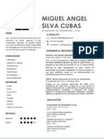 CV SILVA CUBAS MIGUEL ANGEL 71573830 - Compressed