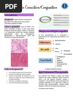 Tejido Conectivo - Conjuntivo - Clase IV - Resumo