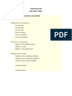 Anatomia Tema Investigacion