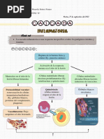 Cascada Inflamatoria