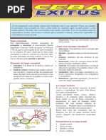 Organizadores Graficos - Aula 2