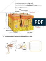 Autoevaluacion CT