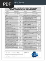 Ficha Técnica D01111360 - T2CR 100L3-4 IEC - Kraftmann