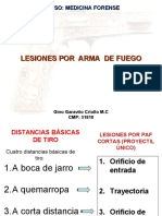 08 Lesiones Por Arma de Fuego