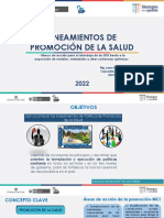 Tema 2. Lineamientos de Promocion Metales