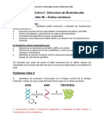 Respuestas - Taller 8 - Acidos Nucleicos