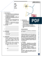 Semana 7 - Sistema Nervioso