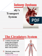 Circulatory System