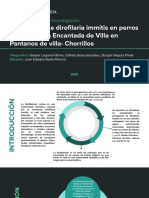 Proyecto de Investigación Final - Prevalencia de Dirofilaria Immitis en Perros Del Parque La Encantada de Villa en Pantanos de Villa - Chorrillos