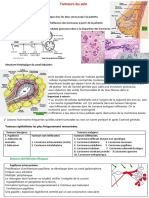 Tumeurs Du Sein