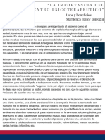 PDF Documento