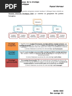 Fiche 3 Management Stratégique