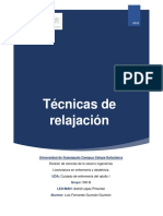 Técnicas de Relajación - Luis Fernando Guzmán Guzmán