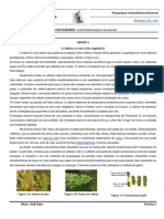 FT - 7 - Autotrofia:transporte Nas Plantas