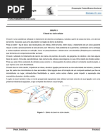 FT3 - Ciclo Celular