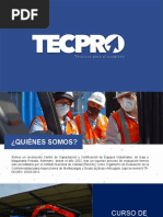 Tecpro Grua Articulada 2022-2