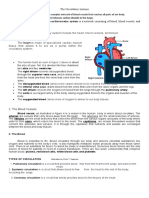 The Circulatory Systems Handouts