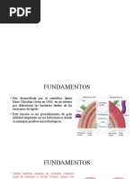 Fundamentos Grom