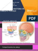 Anatomia de Cabeça e Pescoço