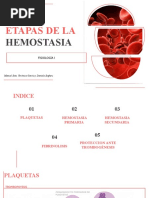 Etapas de La Hemostasia