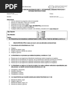 Prueba Integradra Sexto Basico 2016