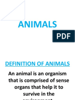 Animals