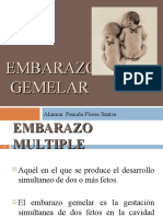 Embarazo Gemelar