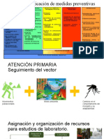 Prevención Primaria Dengue