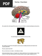 Third Eye - Pineal Gland