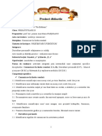 Proiect Didactic CLR