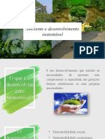 Trabalho de Geo Ambiente 9 Ano