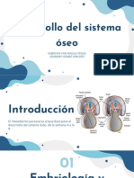 Sistema Óseo