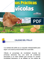 Buenas Prácticas Avicolas