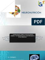 Neuronutrición - 9° Clase MLGG 2021