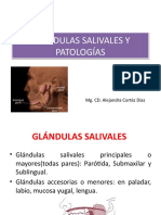 Patología de Las Glándulas Salivales