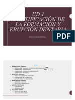 Embriología y Erupción Dentaria