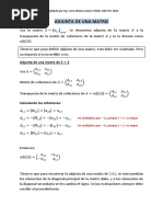 7-Adjunta de Una Matriz