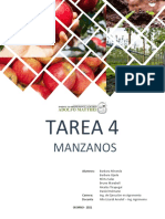 Tarea 4