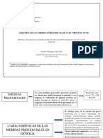 Esquema Medidas Prejudiciales