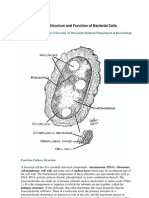 Bab 6 Sruktur Dan Fungsi Sel Bakteria (I)