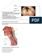 01.09.2022 - Laringe e Faringe