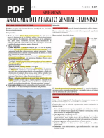 1 - Anatomía Del Aparato Genital Femenino